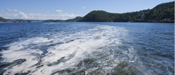 Algeoppblomstring fra Kragerø til Indre Oslofjord