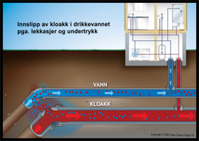 Koke Oslo-vannet eller sikre seg på egen hånd?