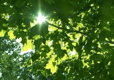 Klimakonferanser åpner nå