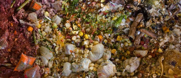 Mer biogass i Enova-regi