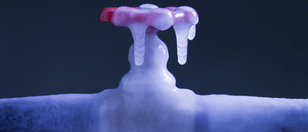 Frostsikring i kulda