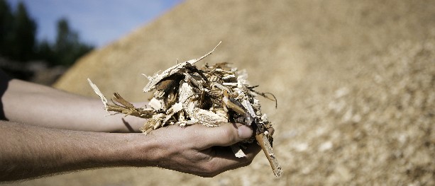 150 millioner til kraftvarmeverk