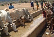 Skien gir vann til Afrika
