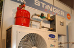Stinger blir pluss