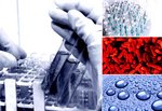 Legionella dreper 40 hvert år