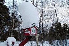 Frykter snø-kollaps