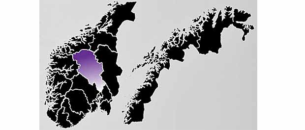 Mjøsregionene klatrer i nærings-NM