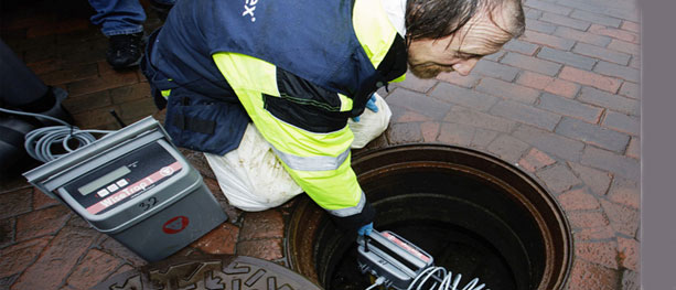 Rotter seg sammen mot rotteplagen