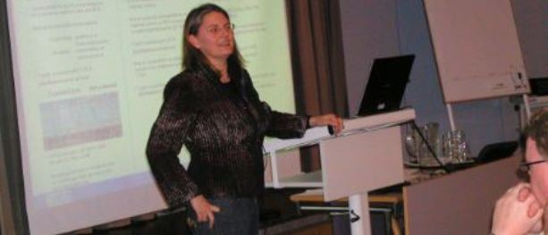 Henter Bellona-leder til Sweco