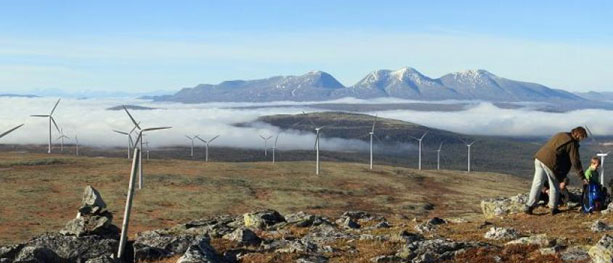 Vindpark i fjellheimen?