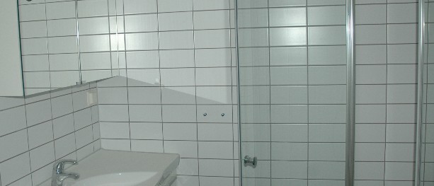 Nye grep mot svart arbeid