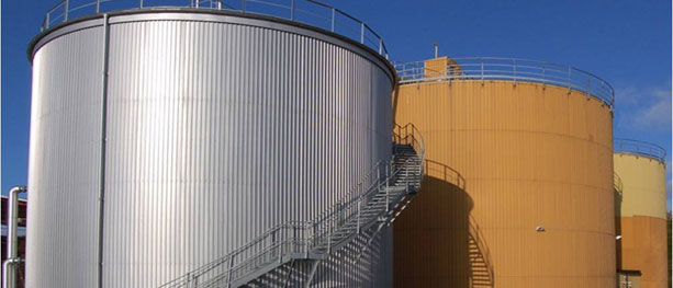 Biogass- satsing