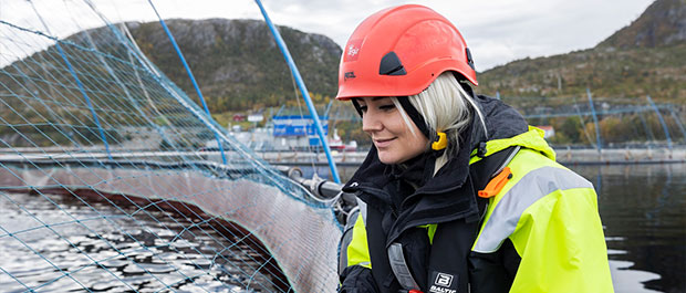 Øker satsningen innen AQ/havbruk