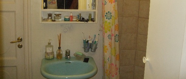 Mange vil ha BVN-badet 2010