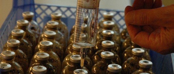 Fra forskning til forretning