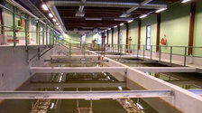 Aksjon avløp 2008