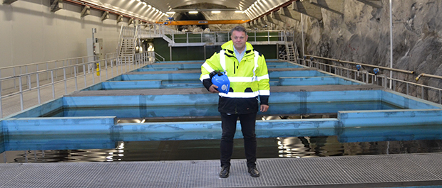 Hvordan stimulere til bærekraft?