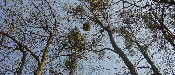 Boligeiere tar klimagrep