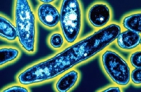 Legionellagåten i Sarpsborg 