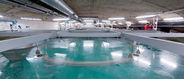 Fortsatt kokeanbefaling i Oslo og Ski