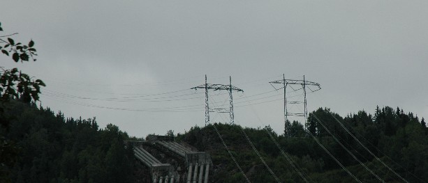 Valgt på grunn av kompetanse