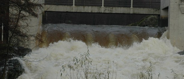 Vil begrense inntjeningen