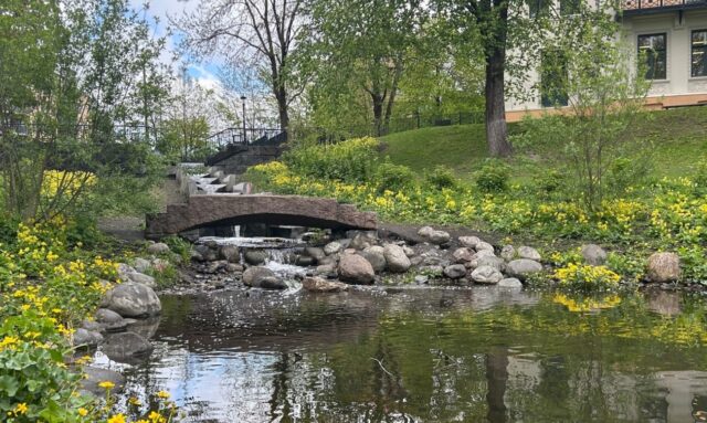 Når styrtregn skaper trivsel i byen